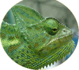 �G�{�V�J�����I��