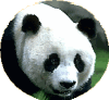 �W���C�A���g�p���_