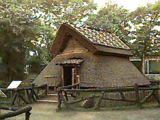 �o�C���