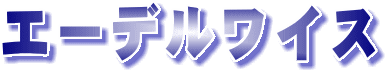 �G�[�f�����C�X